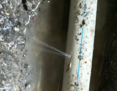 长顺测漏水哪家好