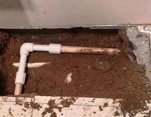 长顺测漏水哪家好