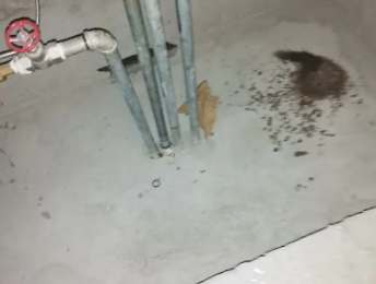 长顺卫生间测漏水价格明细