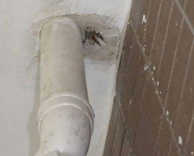 长顺漏水检测哪家好